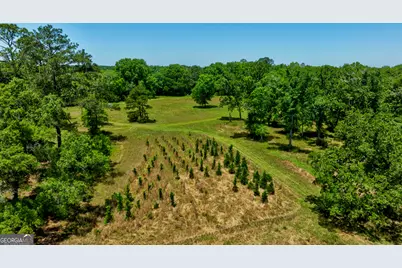 246 Melton Mill Road, Dawson, GA 39842 - Photo 50