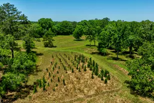 246 Melton Mill Rd, Dawson, GA 39842 - Photo 50