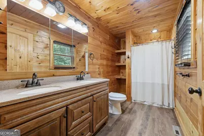 55 Hallee Drive, Mineral Bluff, GA 30559 - Photo 48
