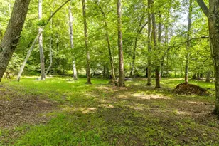 55 Hallee Dr, Mineral Bluff, GA 30559 - Photo 16