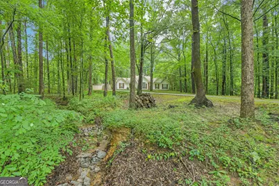 384 Marsha Way, Sharpsburg, GA 30277 - Photo 42