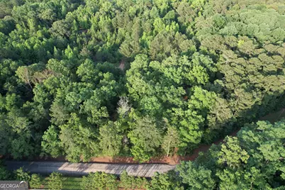 541B Ellis Dairy Road, Griffin, GA 30224 - Photo 2