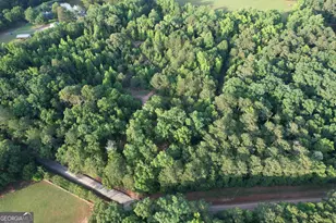 541B Ellis Dairy Rd, Griffin, GA 30224 - Photo 1