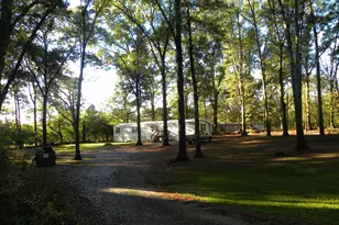 204 Detter Rd, Canon, GA 30520 - Photo 1