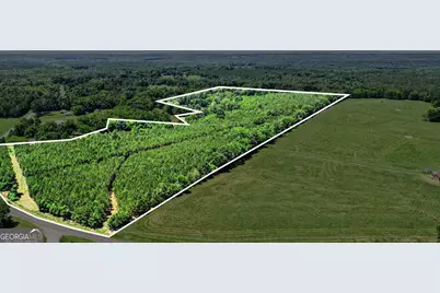 X0X0 Court Ground Road, Washington, GA 30673 - Photo 1