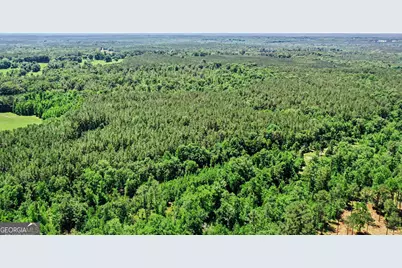 X0X0 Court Ground Road, Washington, GA 30673 - Photo 12