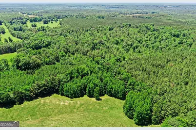 X0X0 Court Ground Road, Washington, GA 30673 - Photo 8