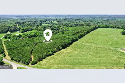 X0X0 Court Ground Road, Washington, GA 30673 - Photo 4