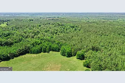 X0X0 Court Ground Road, Washington, GA 30673 - Photo 10