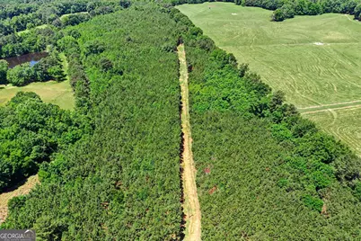 X0X0 Court Ground Road, Washington, GA 30673 - Photo 2
