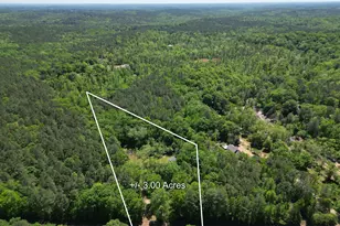 1476 S Hwy 42, Forsyth, GA 31029 - Photo 38
