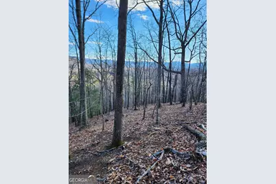 0 Trackrock Gap Road, Blairsville, GA 30514 - Photo 8