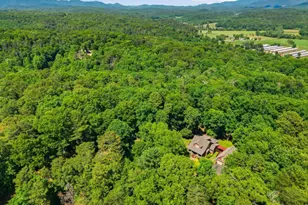 1110 Chatsworth Hwy, Ellijay, GA 30540 - Photo 44