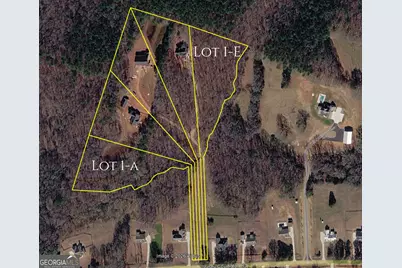 4009 Jersey Covington Road, Covington, GA 30014 - Photo 1