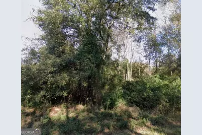 0 Harris Road, Ellerslie, GA 31807 - Photo 2