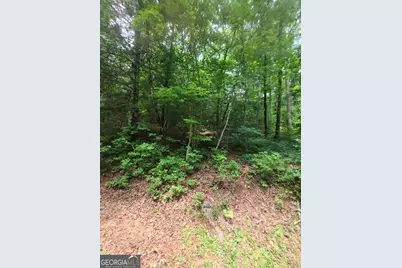 201 Spookhaven Lane, Clarkesville, GA 30523 - Photo 16