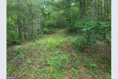 201 Spookhaven Lane, Clarkesville, GA 30523 - Photo 14