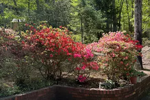 668 Cross St, Clayton, GA 30525 - Photo 36