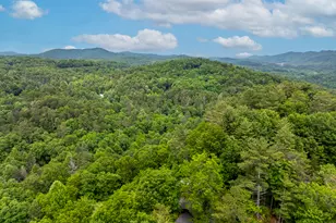 237 Dupont Drive, Blue Ridge, GA 30513 - Photo 10