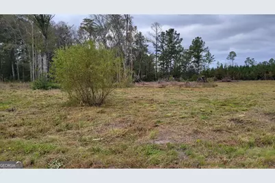 88 Rogers Break Road, Jesup, GA 31546 - Photo 6