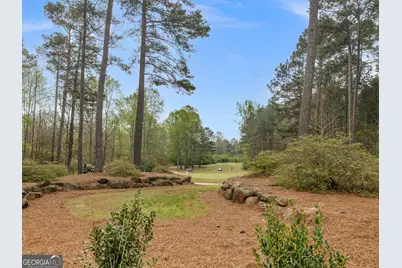 203 Camelia Court, Griffin, GA 30223 - Photo 60
