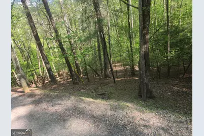 0 Hart Court, Ellijay, GA 30540 - Photo 6
