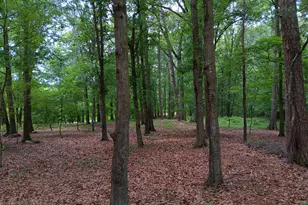 1109 Dixon Bridge Rd, Maysville, GA 30558 - Photo 1