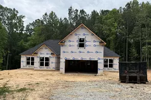 430 Misty Brook Ct, Hampton, GA 30228 - Photo 1