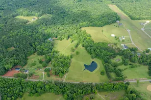 699 Bankstown Rd, Brooks, GA 30205 - Photo 110