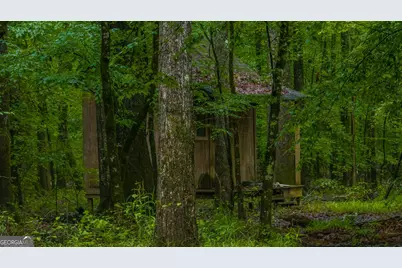 699 Bankstown Road, Brooks, GA 30205 - Photo 104