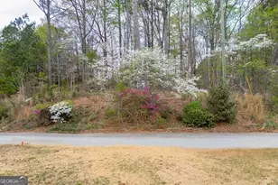 7925 Lotus Walk, Cumming, GA 30041 - Photo 10