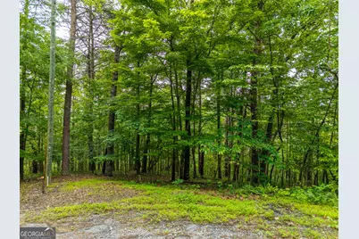 1332 Birch Lane NE, Ranger, GA 30734 - Photo 6