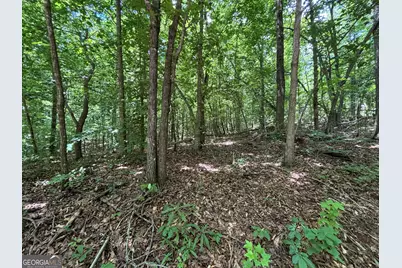 0 Crest View Drive, Cleveland, GA 30528 - Photo 12