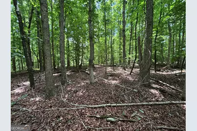 0 Crest View Drive, Cleveland, GA 30528 - Photo 10