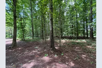 0 Crest View Drive, Cleveland, GA 30528 - Photo 6