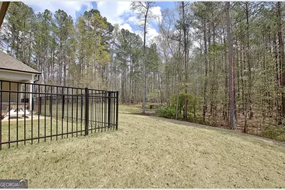 147 Palomino Circle, Newnan, GA 30265 - Photo 62