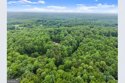 802 Old Mill Trail, Ball Ground, GA 30107 - Photo 84