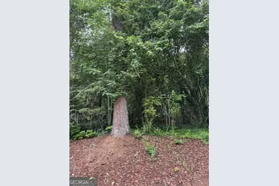 0 Lewis Drive #LOT 20, Lavonia, GA 30553 - Photo 2