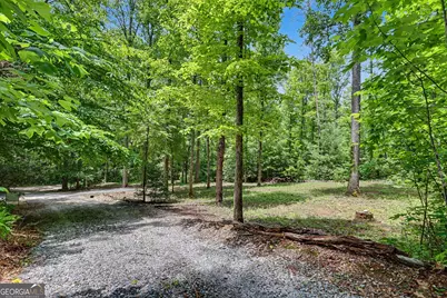 220A Brookwood Lane, Clarkesville, GA 30523 - Photo 46