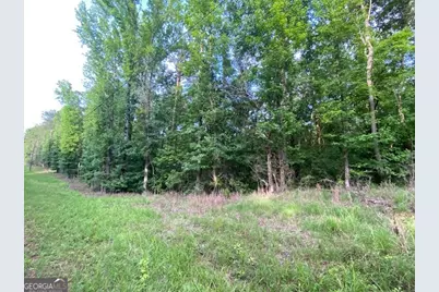 0 Neely Road, Lagrange, GA 30240 - Photo 6