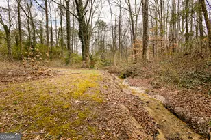 1766 Laurel Ridge Dr SW, Conyers, GA 30094 - Photo 52