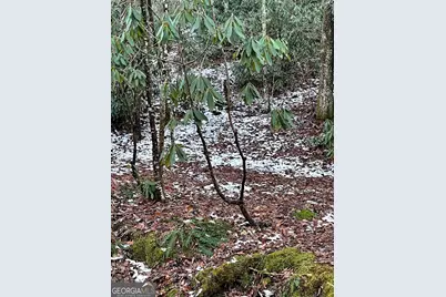 0 Lot 8 Bald Mountain Road #LOT 8, Sky Valley, GA 30537 - Photo 2