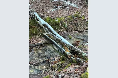0 Lot 8 Bald Mountain Road #LOT 8, Sky Valley, GA 30537 - Photo 6
