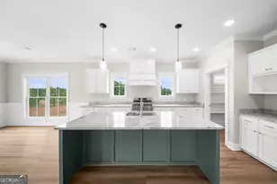 3167 Jason Franklin Rd, Register, GA 30452 - Photo 4