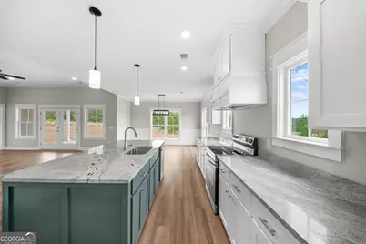 3167 Jason Franklin Road, Register, GA 30452 - Photo 6