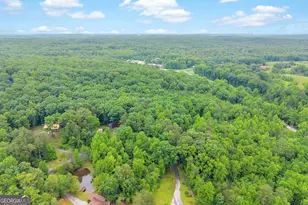 314 Skyview Cir, Clarkesville, GA 30523 - Photo 36