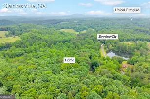 314 Skyview Cir, Clarkesville, GA 30523 - Photo 40
