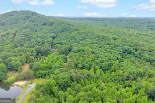314 Skyview Cir, Clarkesville, GA 30523 - Photo 34