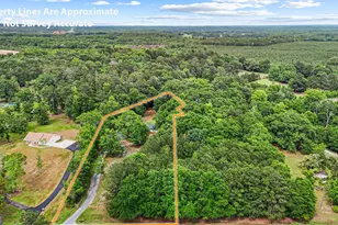 1132 Hwy 341 S, Barnesville, GA 30204 - Photo 2