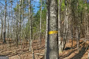 5010 US Hwy 27, Franklin, GA 30217 - Photo 30